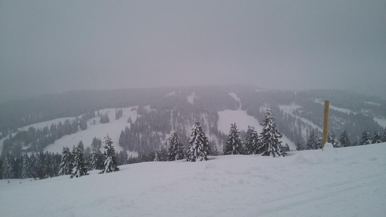 'S Jaegermatt Bed & Breakfast Feldberg  Eksteriør bilde